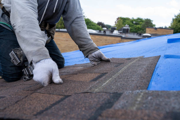 Fast & Reliable Emergency Roof Repairs in Cerro Gordo, IL