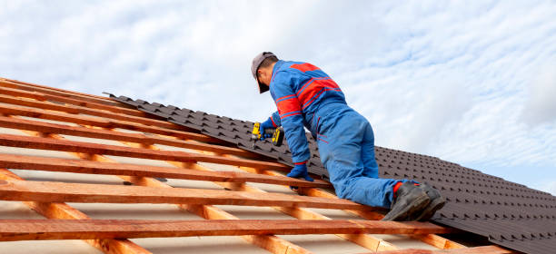 Best Roof Ventilation Installation  in Cerro Gordo, IL